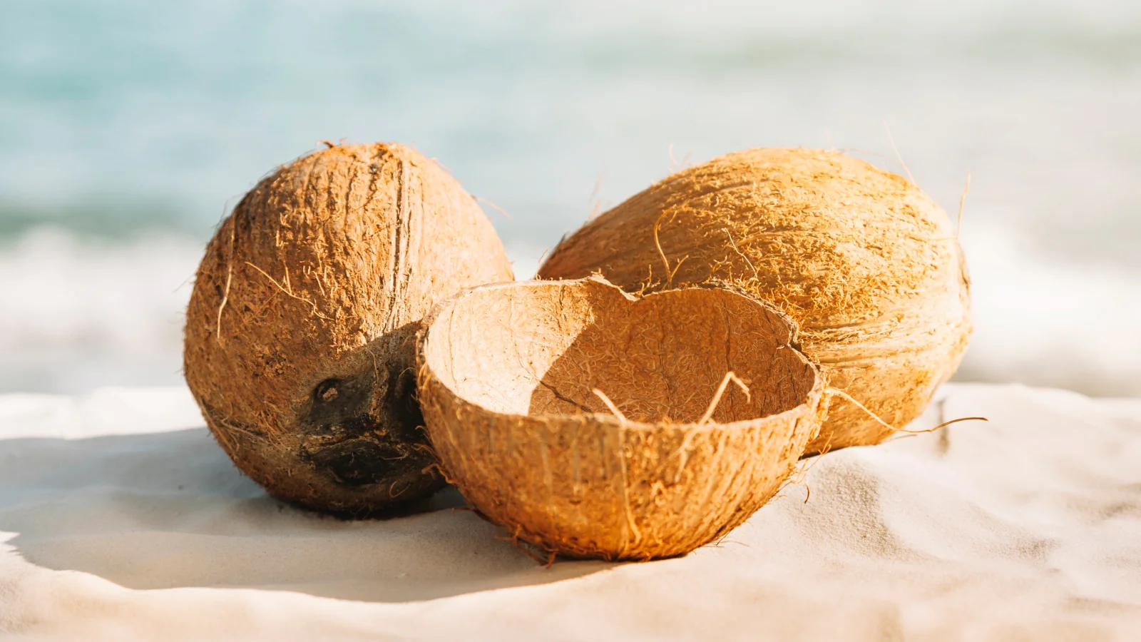 Coconut Shell